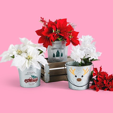 flowers in holiday tin pots 