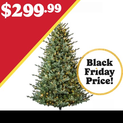 A Christmas tree with lights