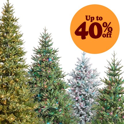 4ft & taller Christmas trees