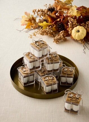 smores wedding favors 