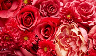 red rouses with bright pink daises and light pink hydrangeas