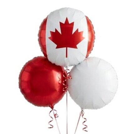 Canada day party supplies