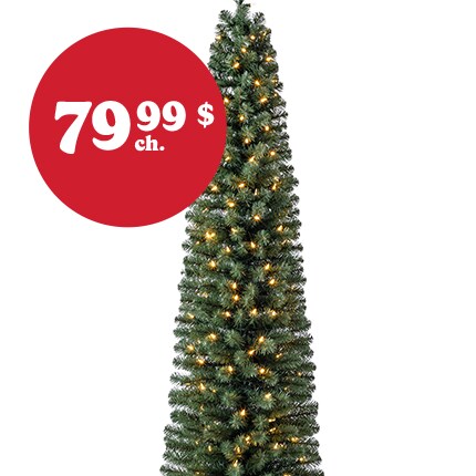 A Christmas Tree with lights