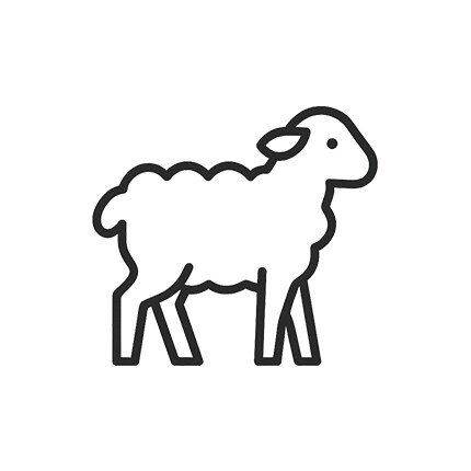 sheep line icon for wool fabric