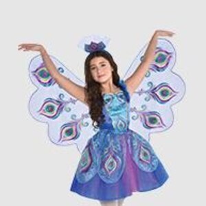 fairy costume