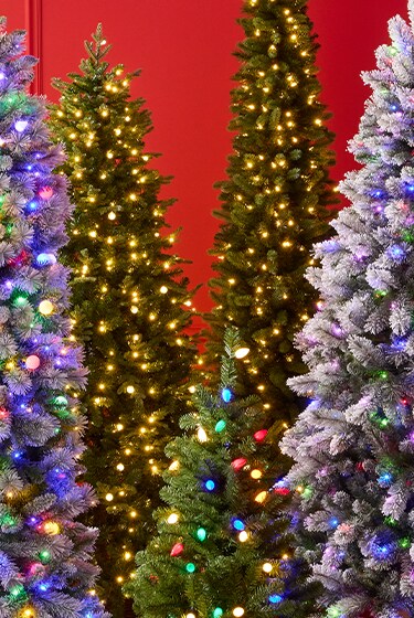 trees