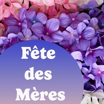 Mothers Day flower pot with flowers and gifts