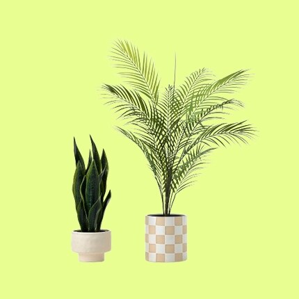 greenery