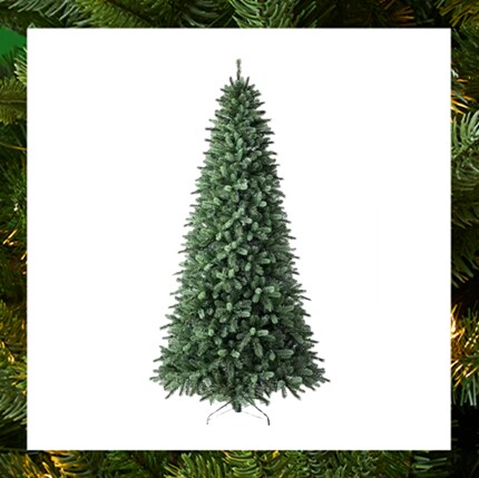 A Christmas tree 