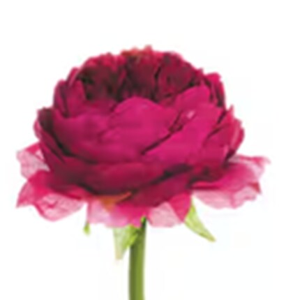 MIK-Spring Floral-D220709S.png