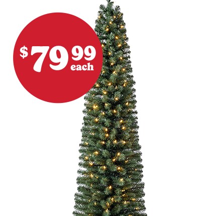 A Christmas Tree with lights