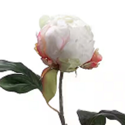 MIK-Tile-Spring Floral-Peony4.png