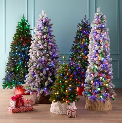 four lit Christmas trees in front of green wall