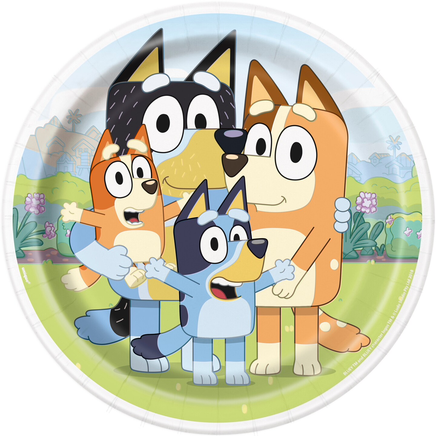 Bluey party plate