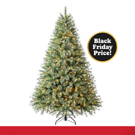 A Christmas tree with lights