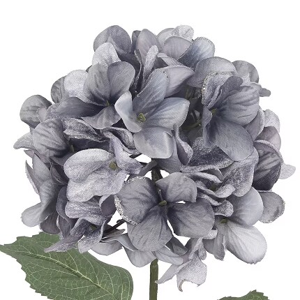 Gray Flower