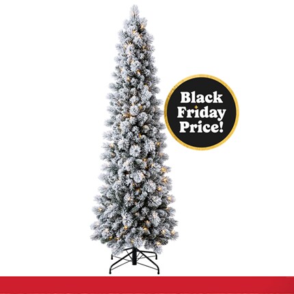 A Christmas tree with lights