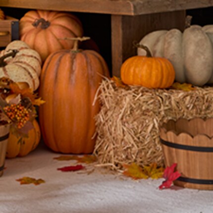 Straw Bale