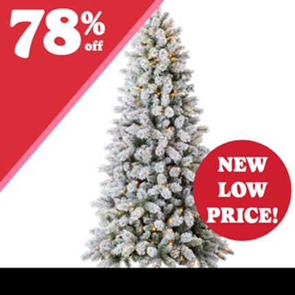 A Christmas tree with lights