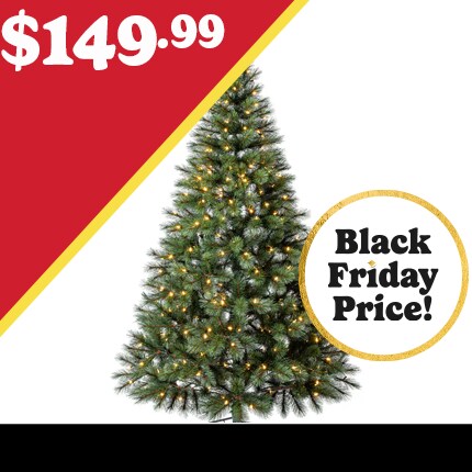 A Christmas tree with lights