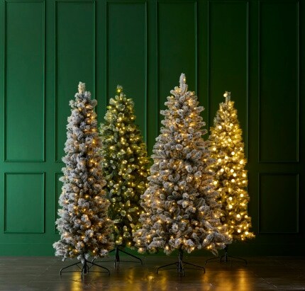 four lit Christmas trees in front of green wall