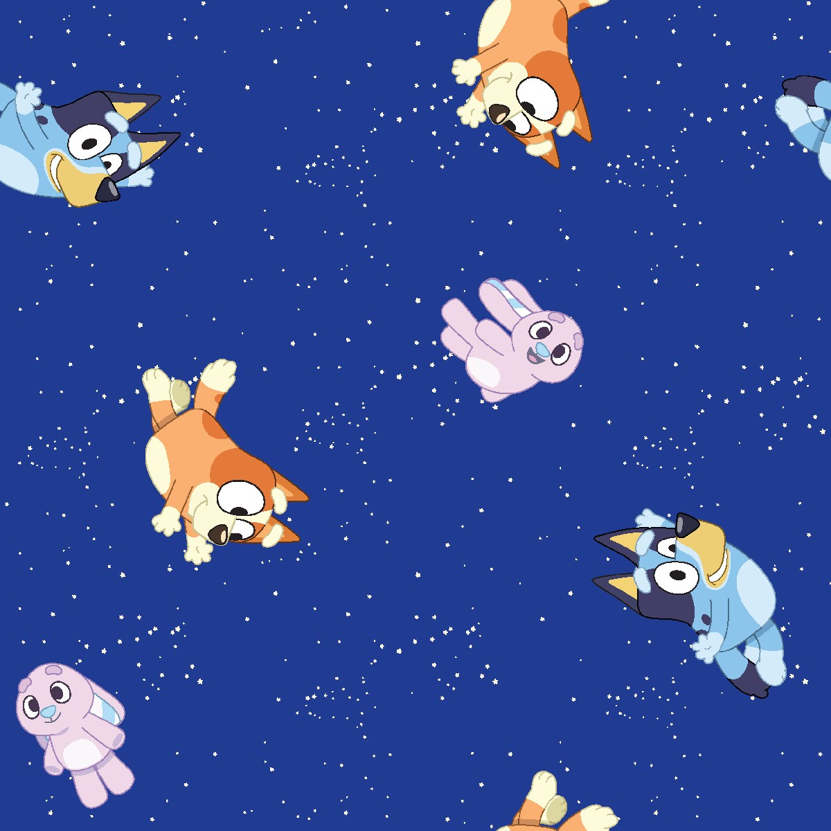 bluey in space fabric