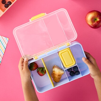 Bento box against a pink wall