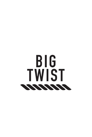 big twist logo in black text
