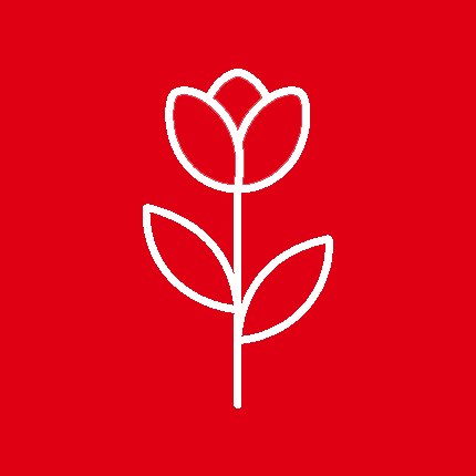 outline of white flower with red center on black background