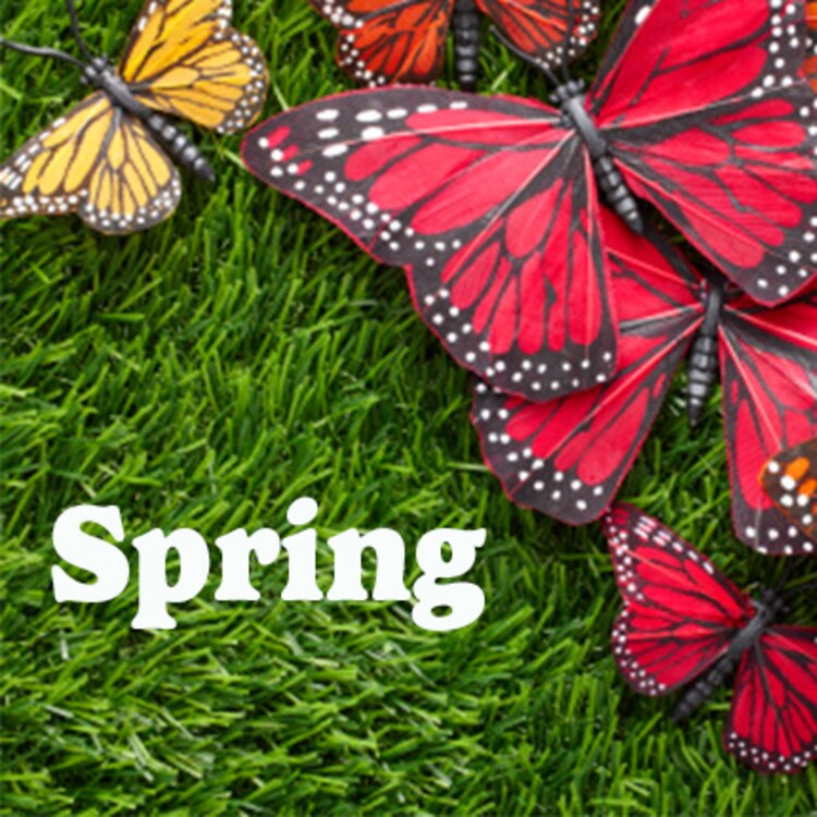 Spring