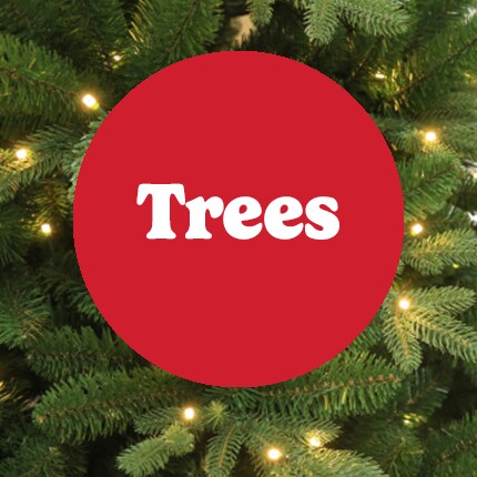 Trees in white text over red circle withe christmas tree background