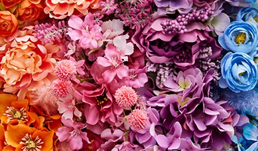 assorted flowers in orange, pink, purple and light blue