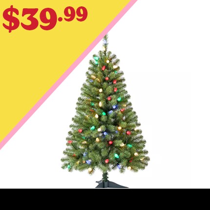 A Christmas Tree with lights