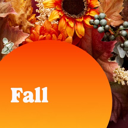 Fall