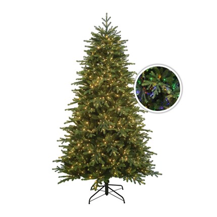 A Christmas tree with lights