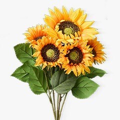 Sunflowers