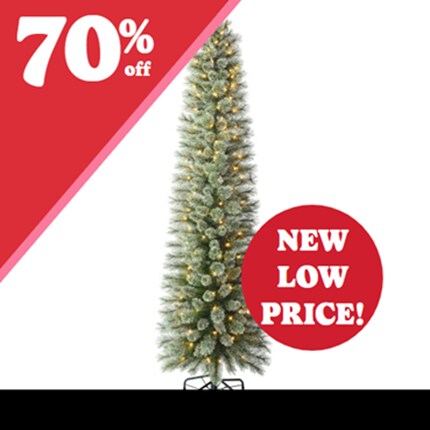 A Christmas tree with lights