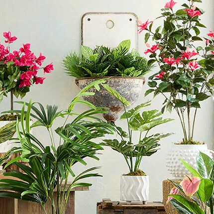 Tree Floor plants