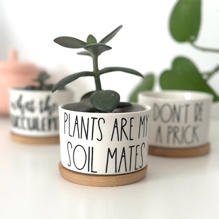 MakerPlace by Michaels A small succulent in a white pot labeled “Plants are my soil mates,” among other potted plants with playful slogans, creating a cheerful, cozy mood.