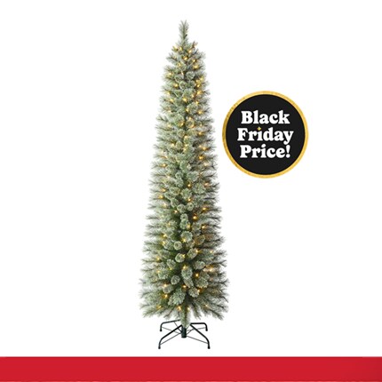 A Christmas tree with lights