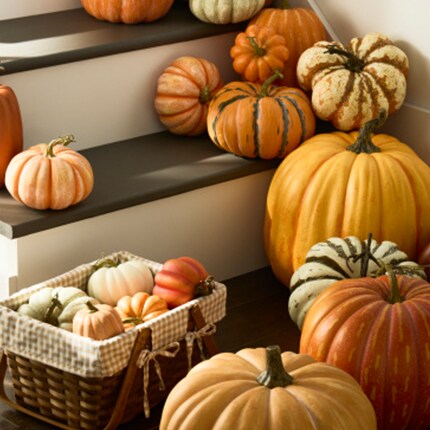 Fall pumpkins on a porch