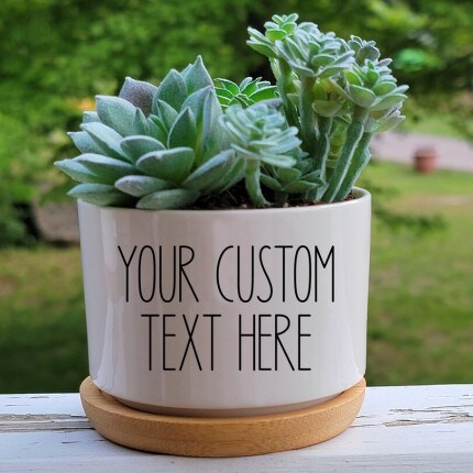 For the Plant Lover