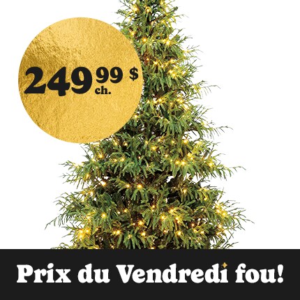 A Christmas Tree with lights