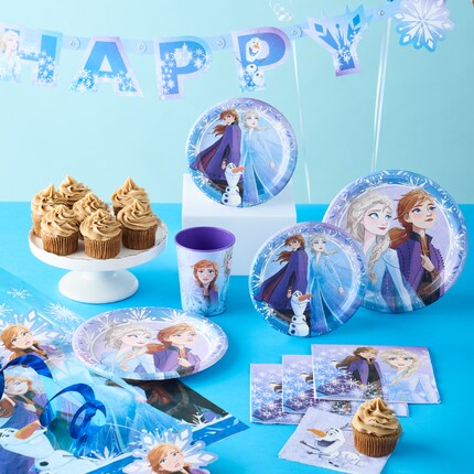Frozen character themed party supplies
