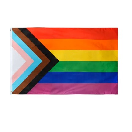 Pride progress flag