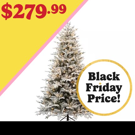 7.5ft. Pre-Lit Fairbanks Fir Realistic Tree by Ashland $699.99 at Black Friday Pricing