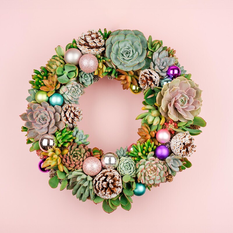 succulent wreaths