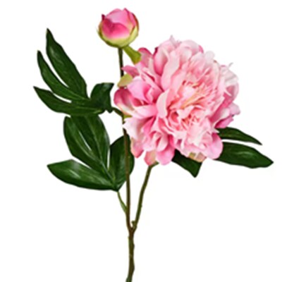 MIK-Spring Floral-Peony Trend - D333927.png