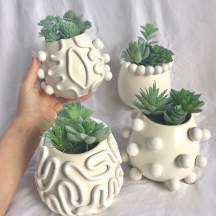 plant spikes 