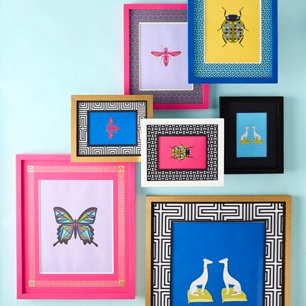 Jonathan Adler frames against a blue background